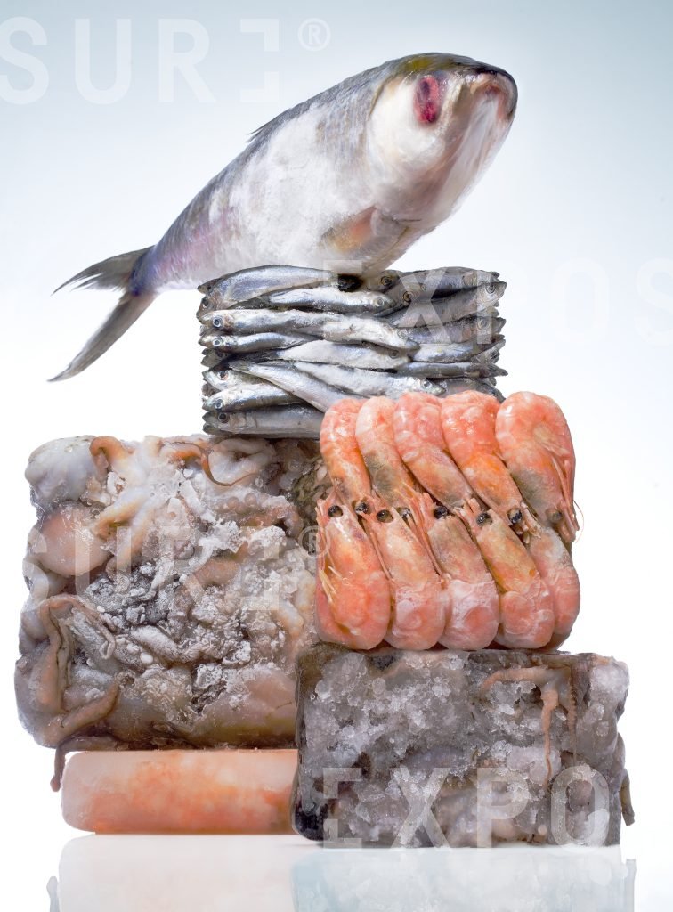 Frozen fish