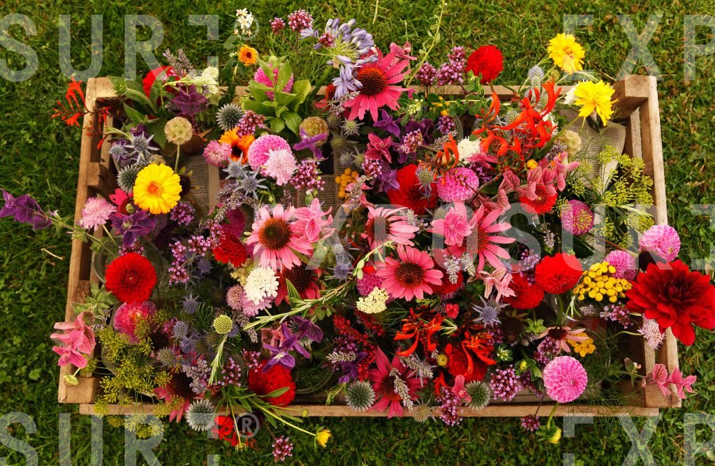 Flower box