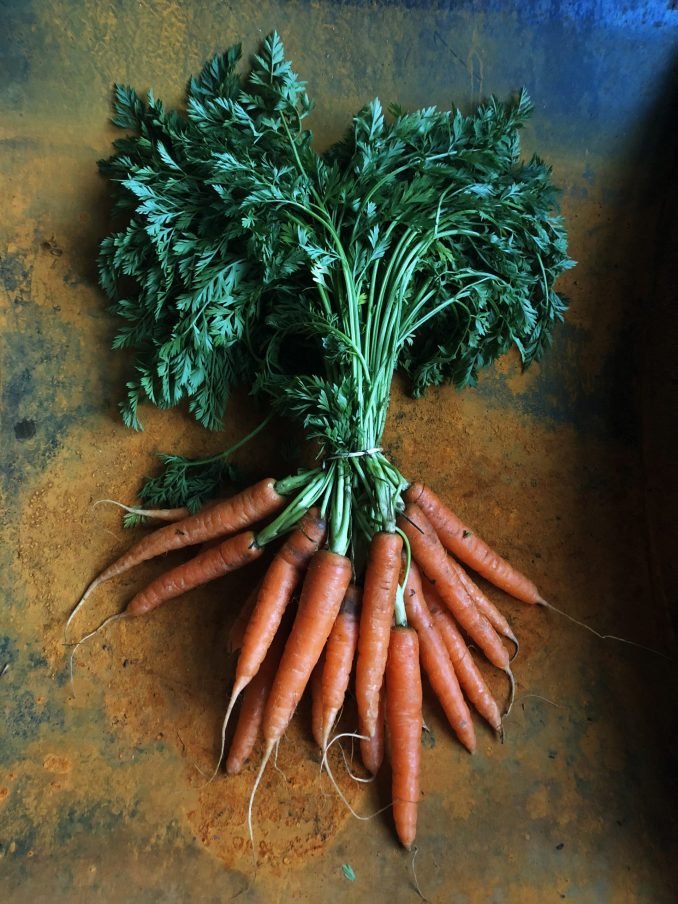 Carrots