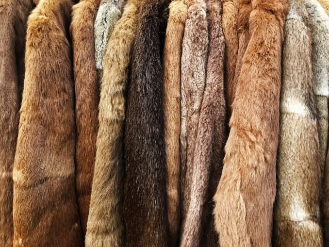 Fur coats