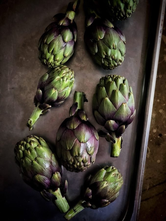 Globe artichokes