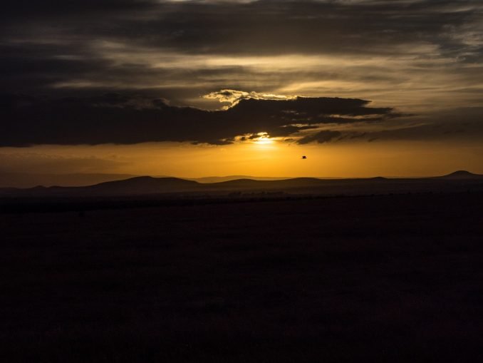 Flying Bird At Sunset