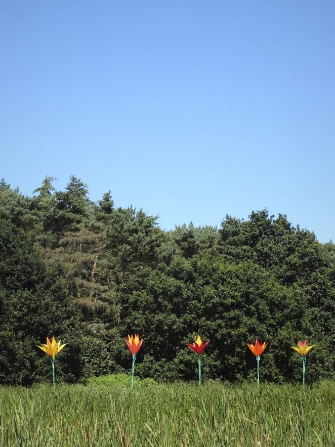 Flower wood