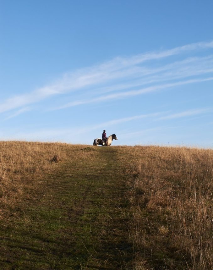 Horse rider