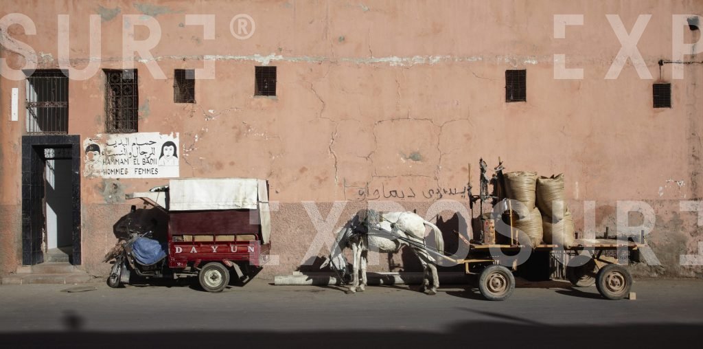 Transport tuk tuk and donkey