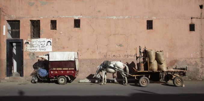 Transport tuk tuk and donkey