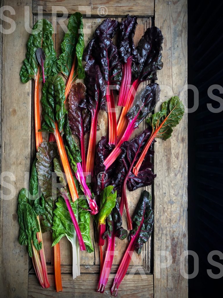 Rainbow chard