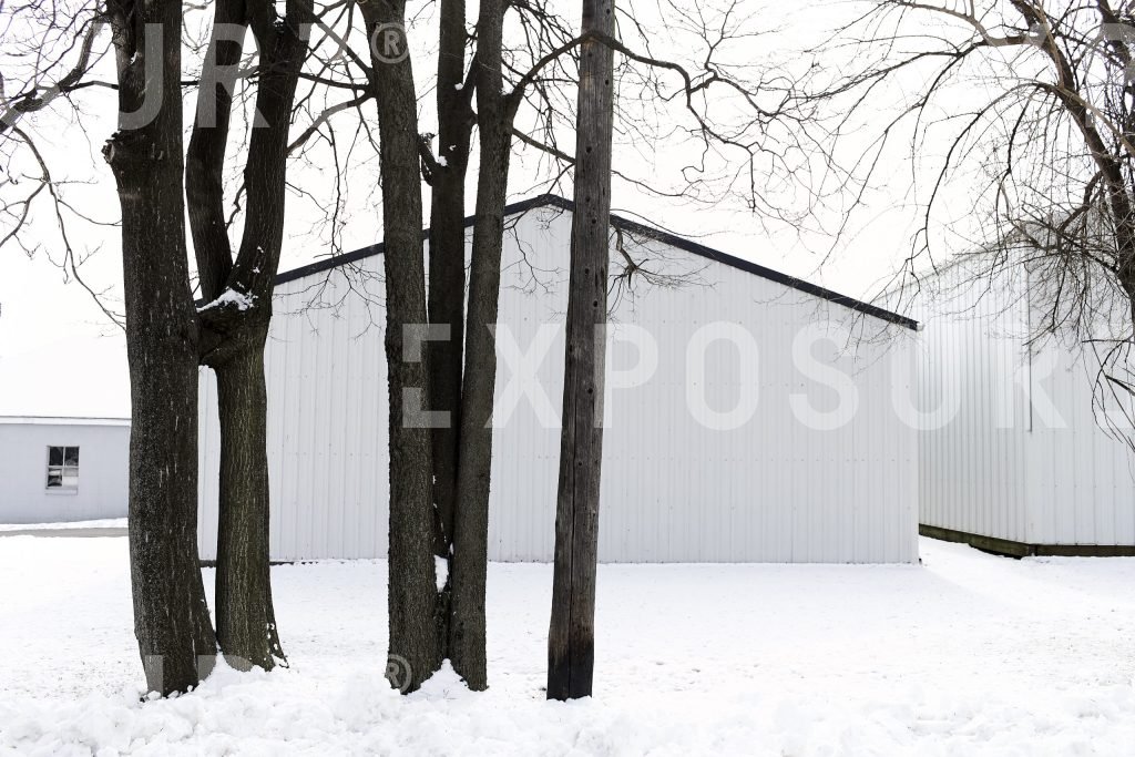 Trees and workshops, Midwest