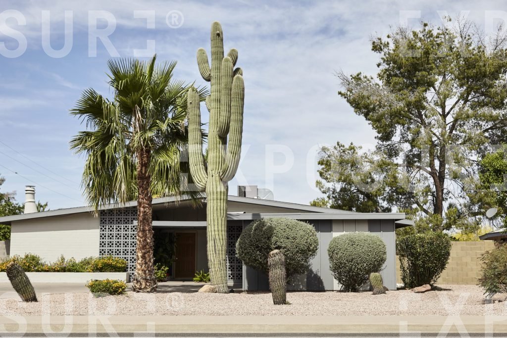 Arizona, home with monumental cacti