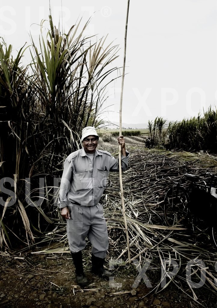 Sugar Plant Worker 7
