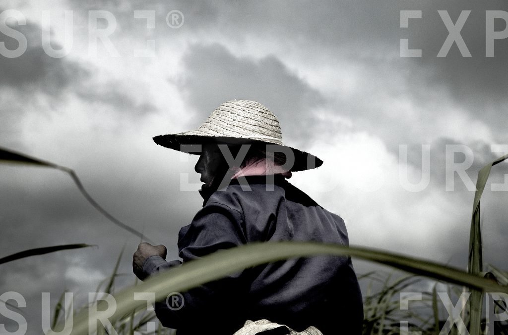 Sugar Plant Worker 3