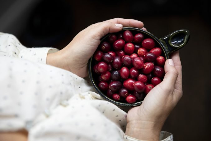 A bowl full of cranberries in nice light