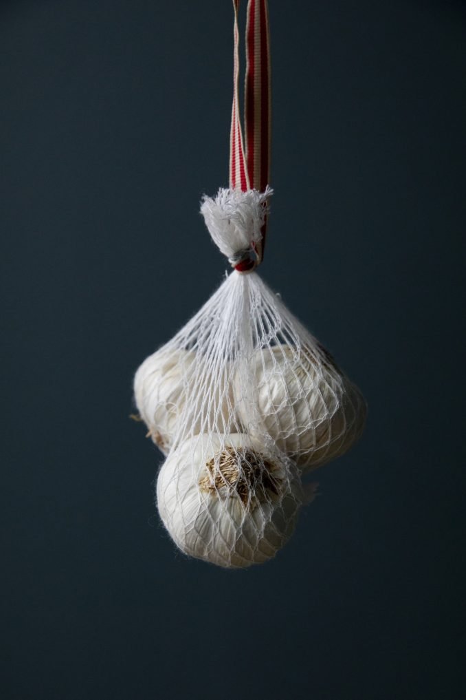 A bunch of garlic hanging against teal background