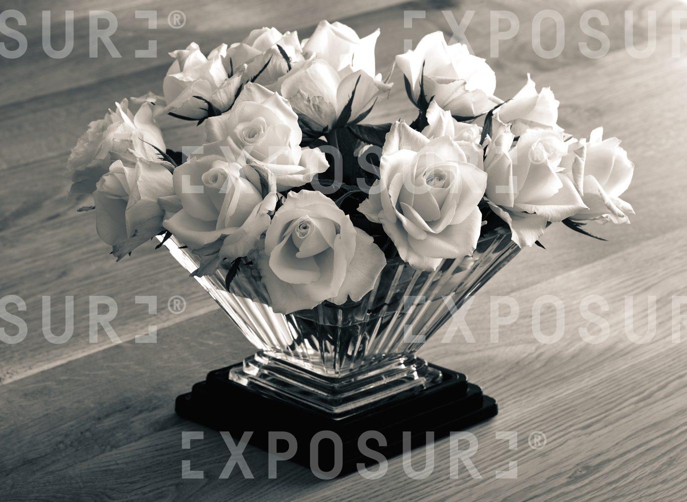 Christmas Roses 2