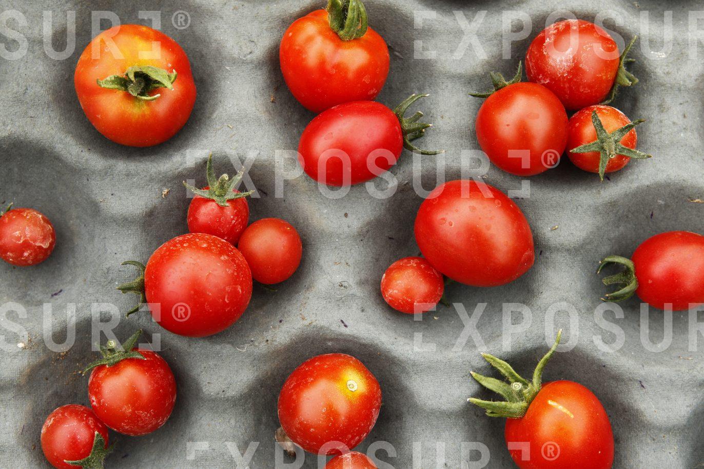 Tomatoes