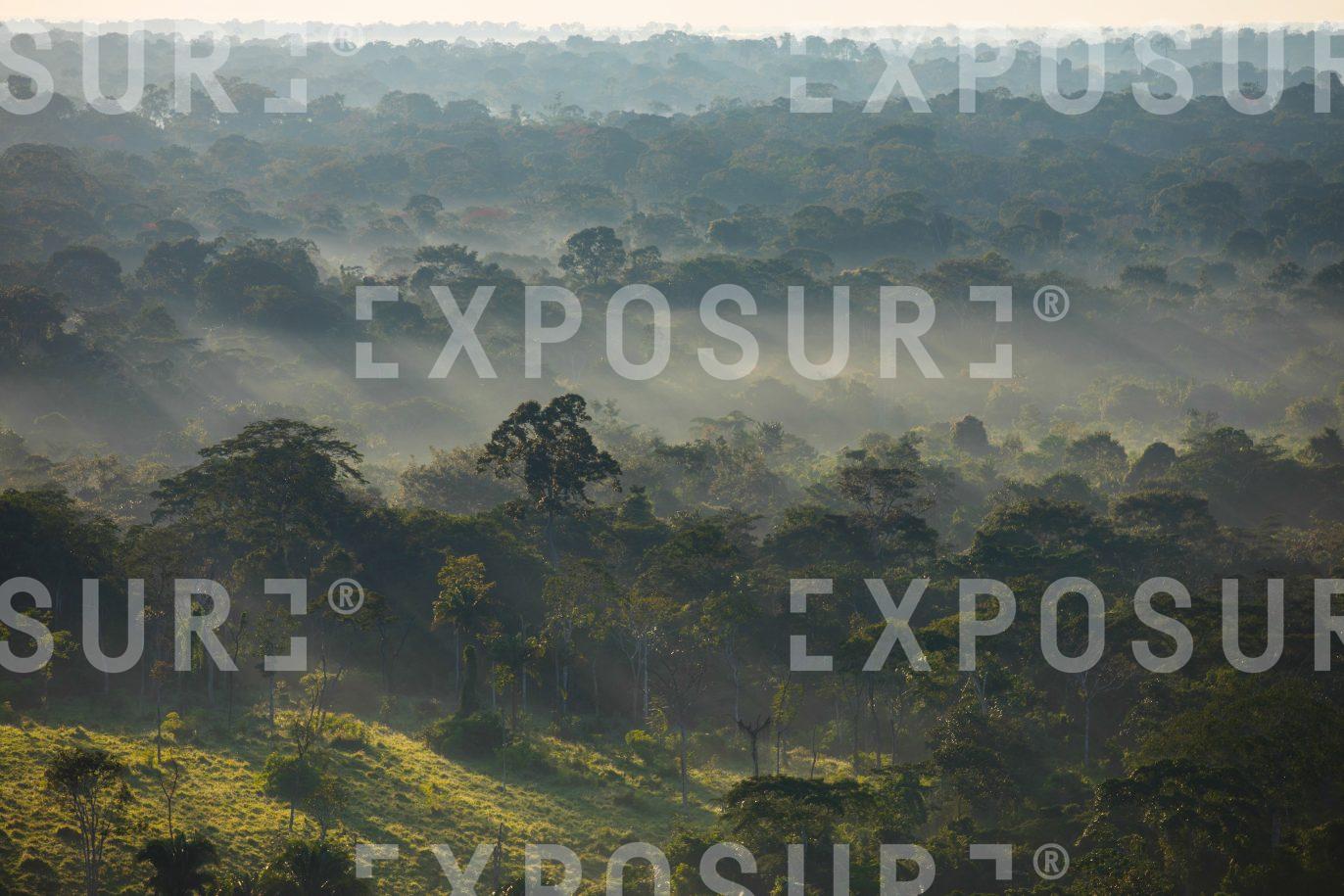 Amazon rainforest aerial 2
