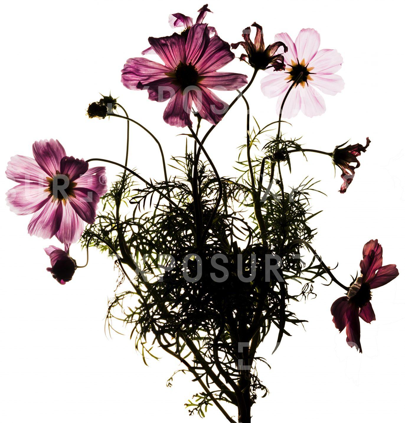 Petrol station bouquet