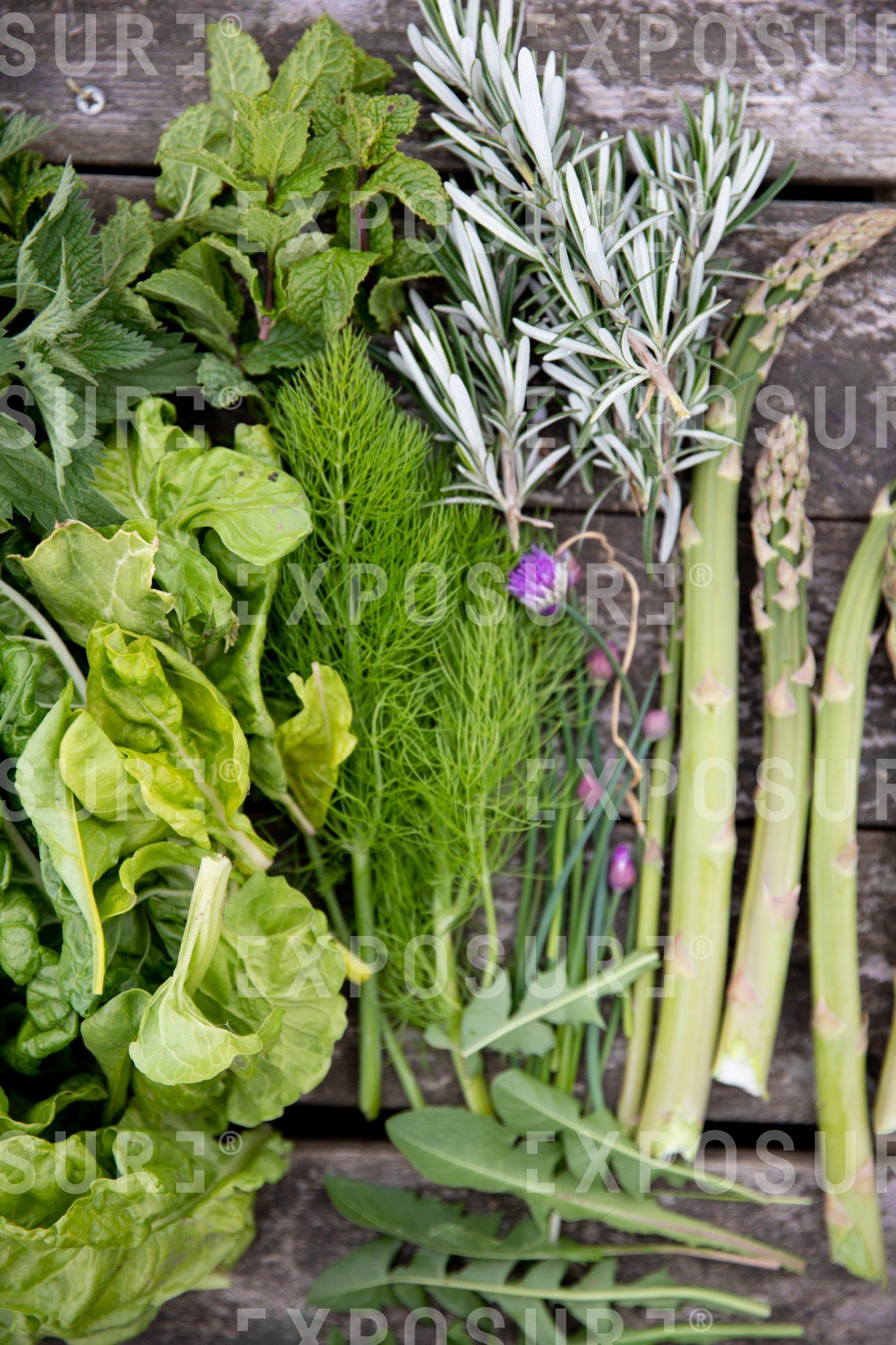 Grow Your Own – allotment vegetables and herbs