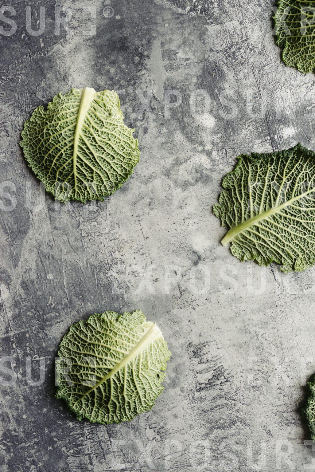 Lettuce leaves