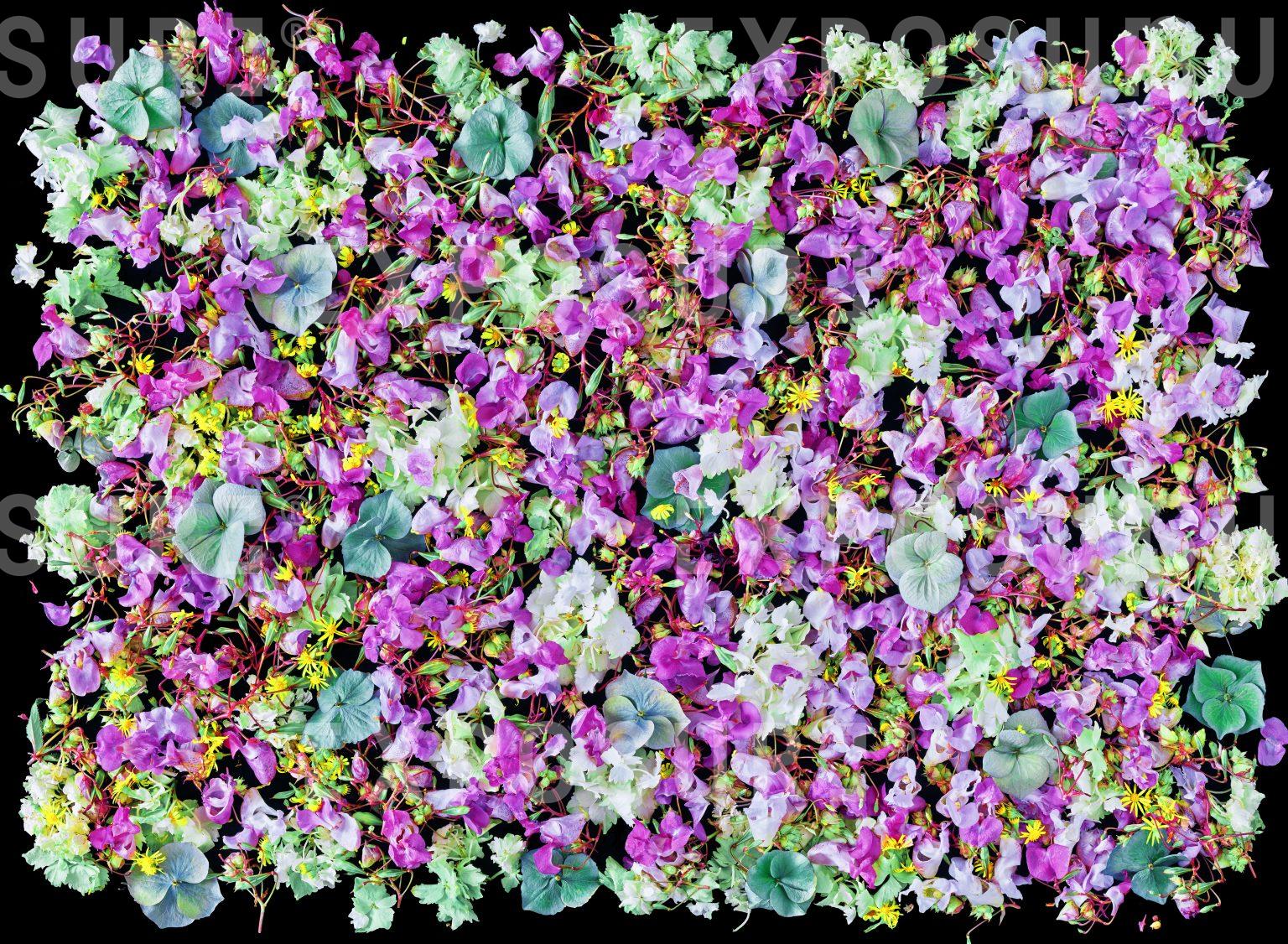 Petal bed