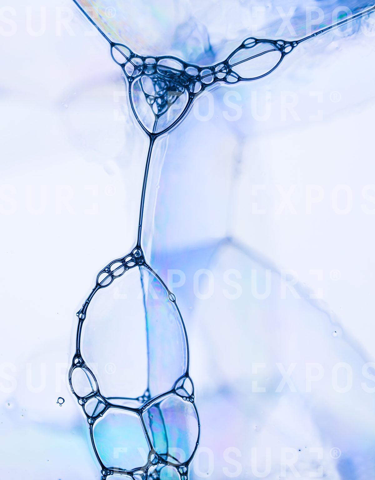 Bubbles