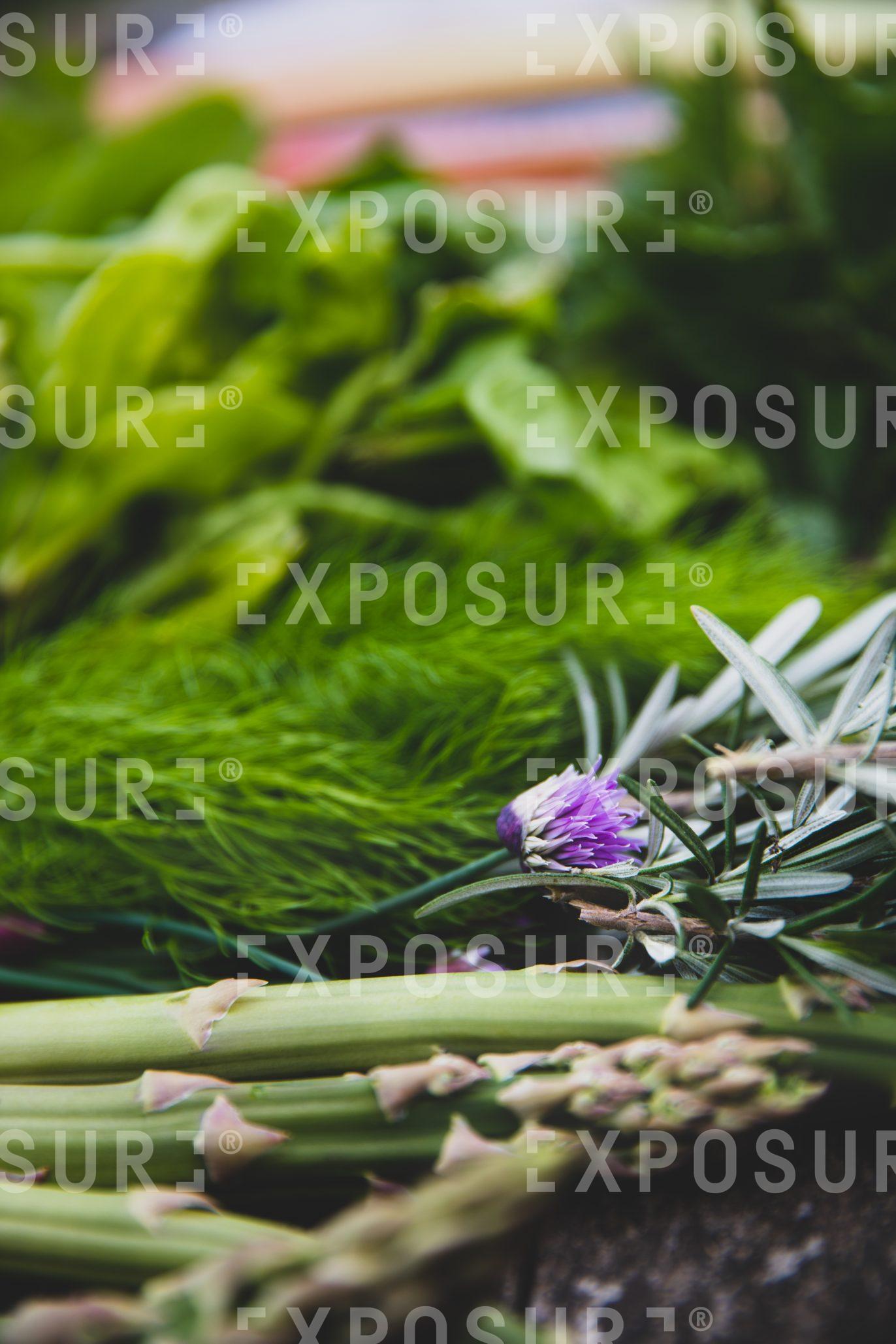 Allotment vegetables and herbs