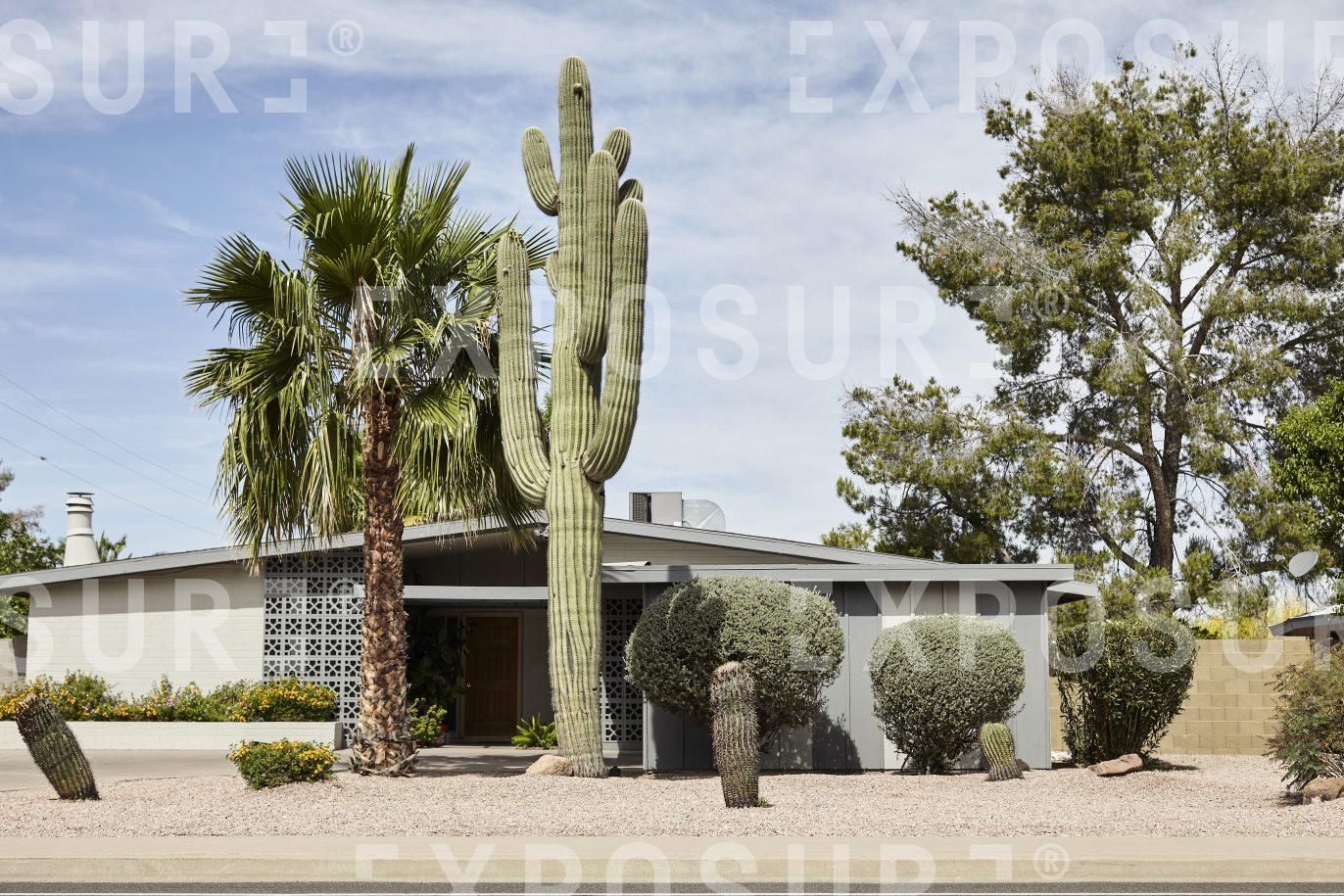 Arizona, home with monumental cacti