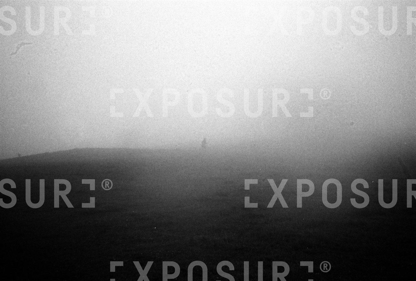 Lost In The Fog