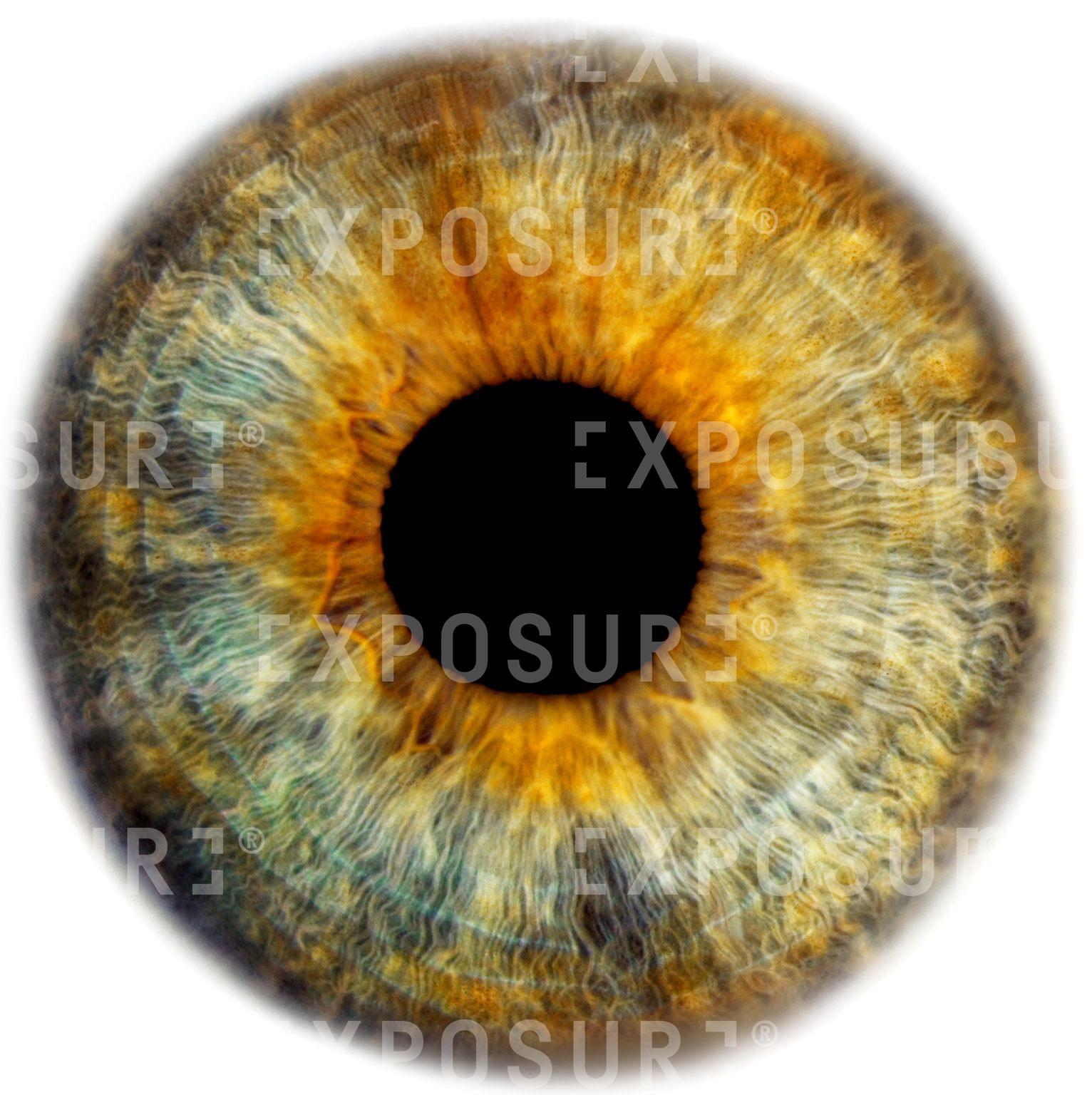 Eye pupil
