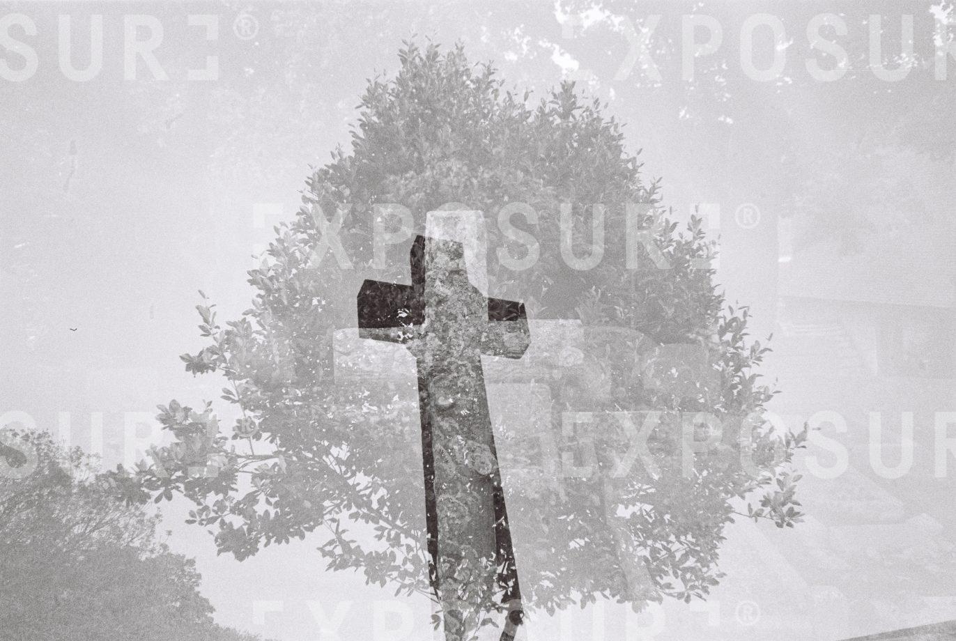 Cross and tree