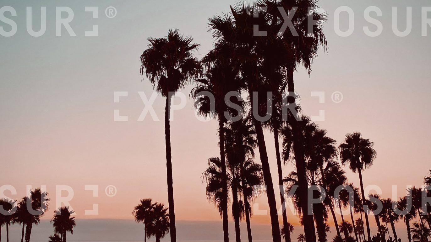 Palm Springs