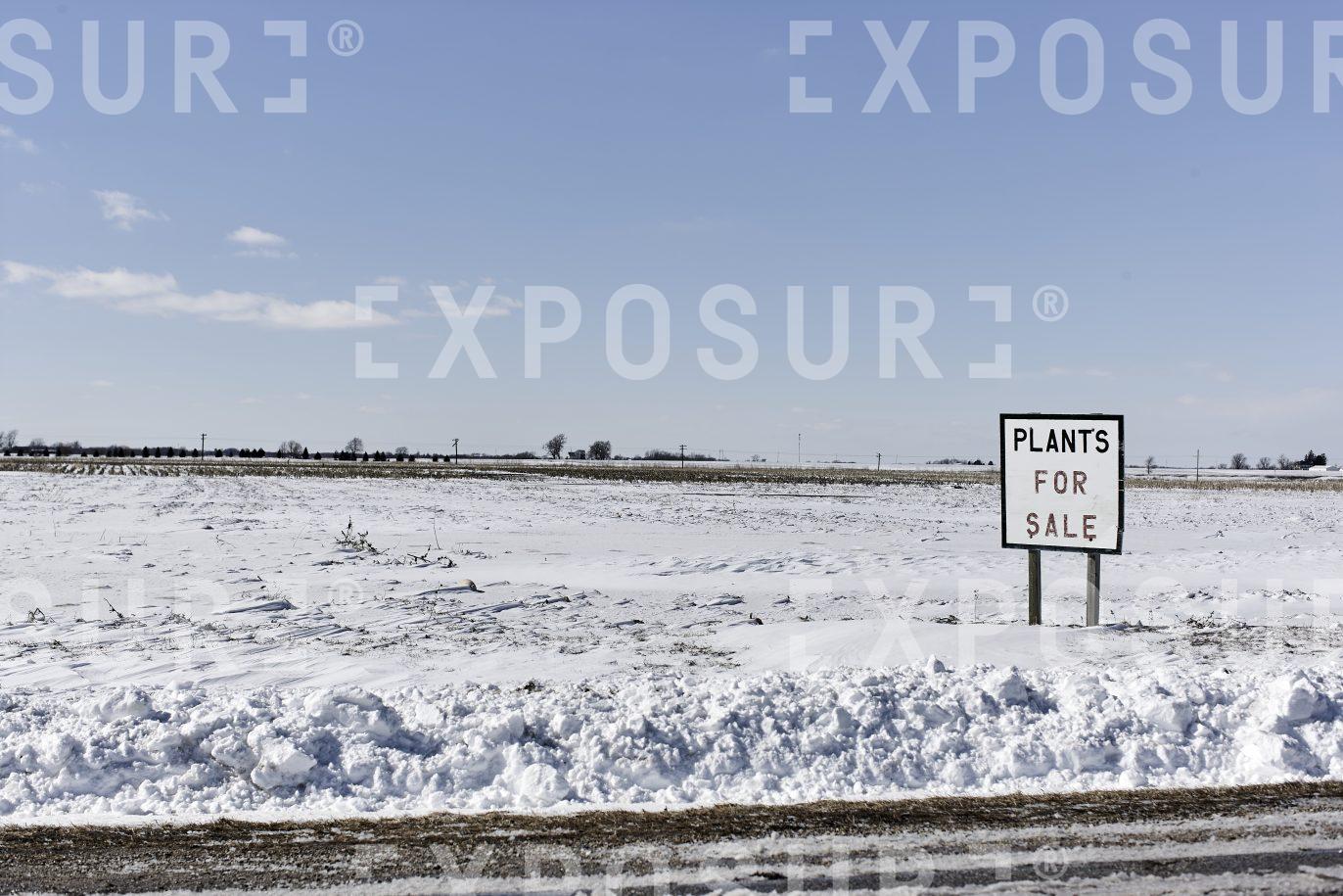 Plants For Sale, Midwest farm