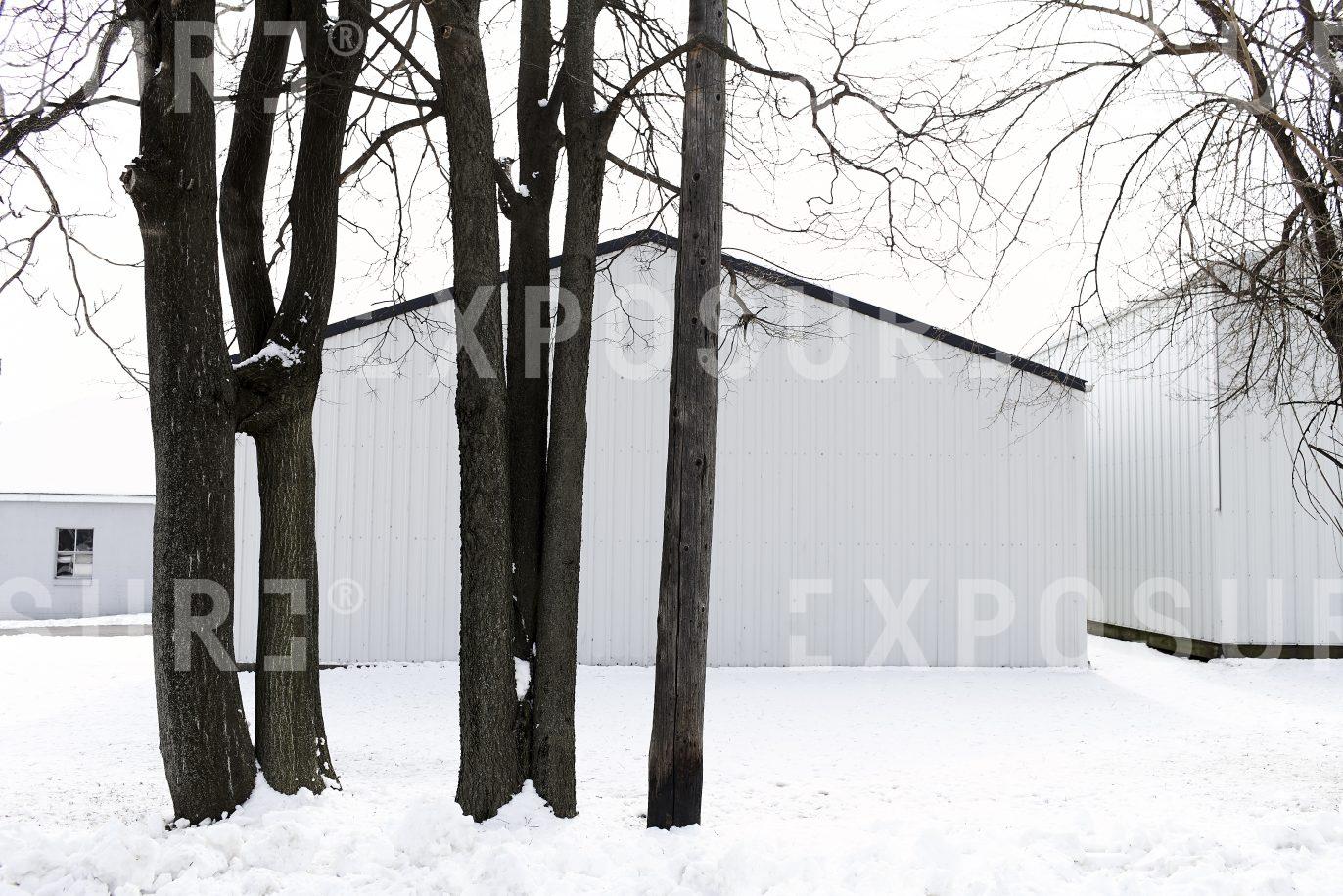 Trees and workshops, Midwest