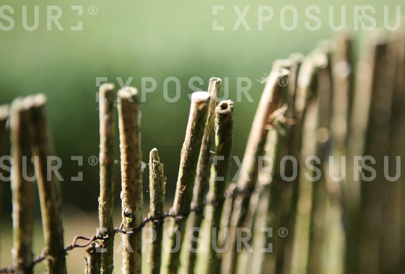 Fence posts