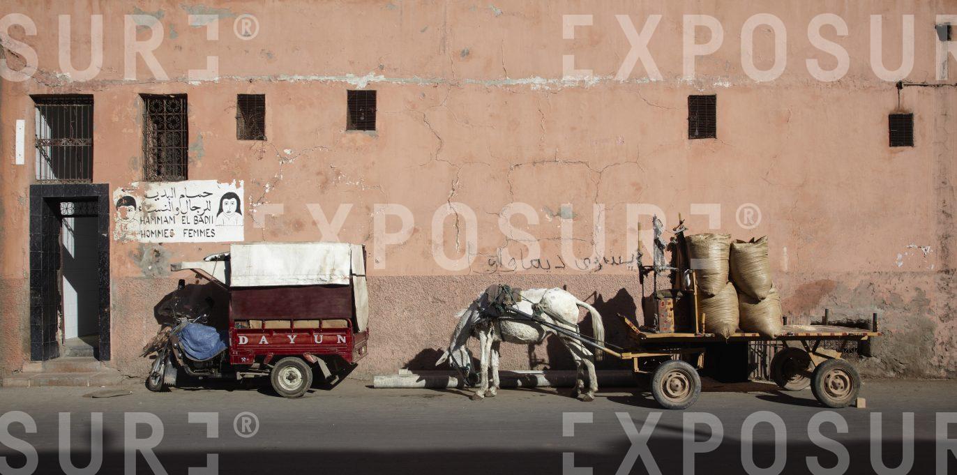 Transport tuk tuk and donkey