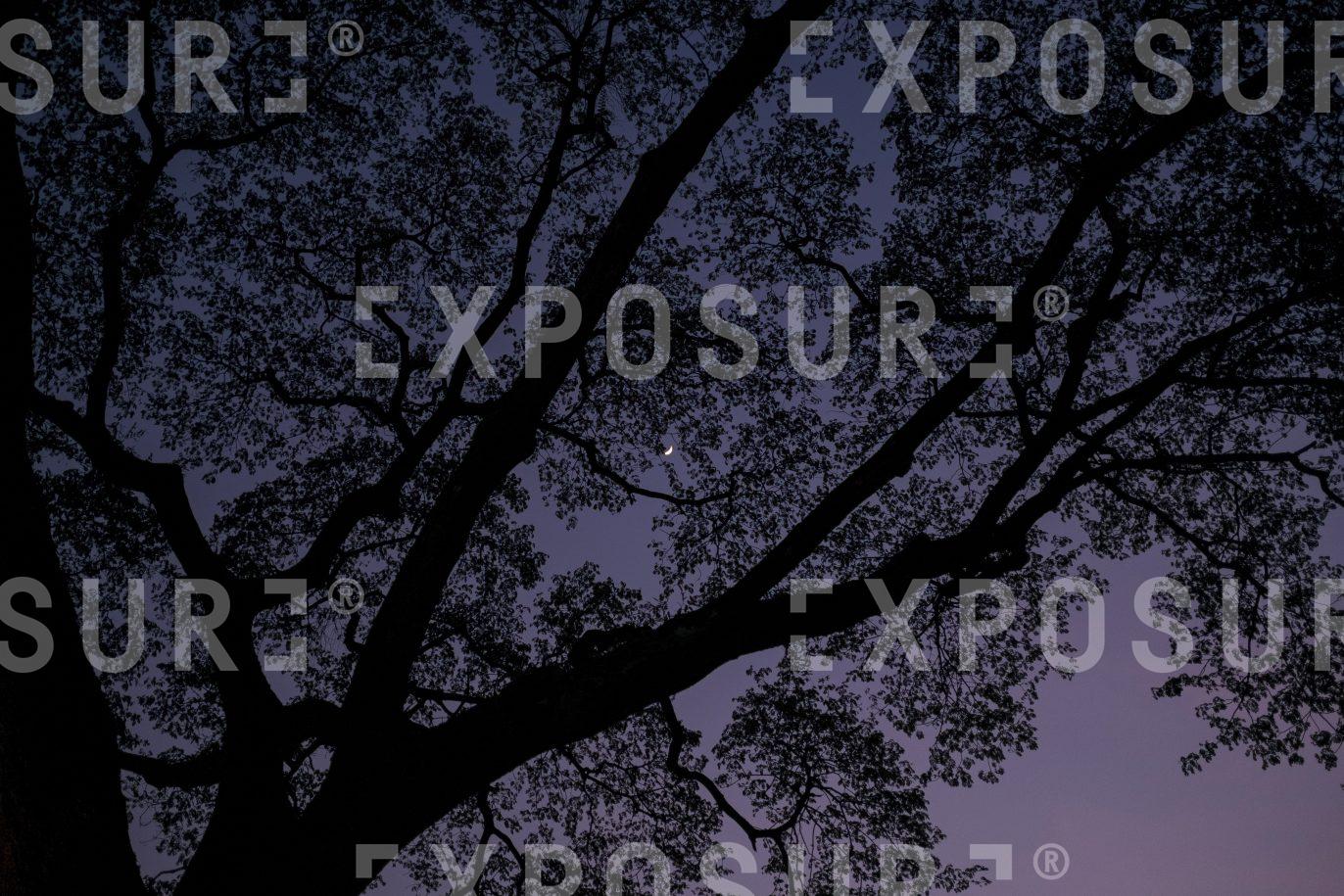 Kuala Lumpar at night