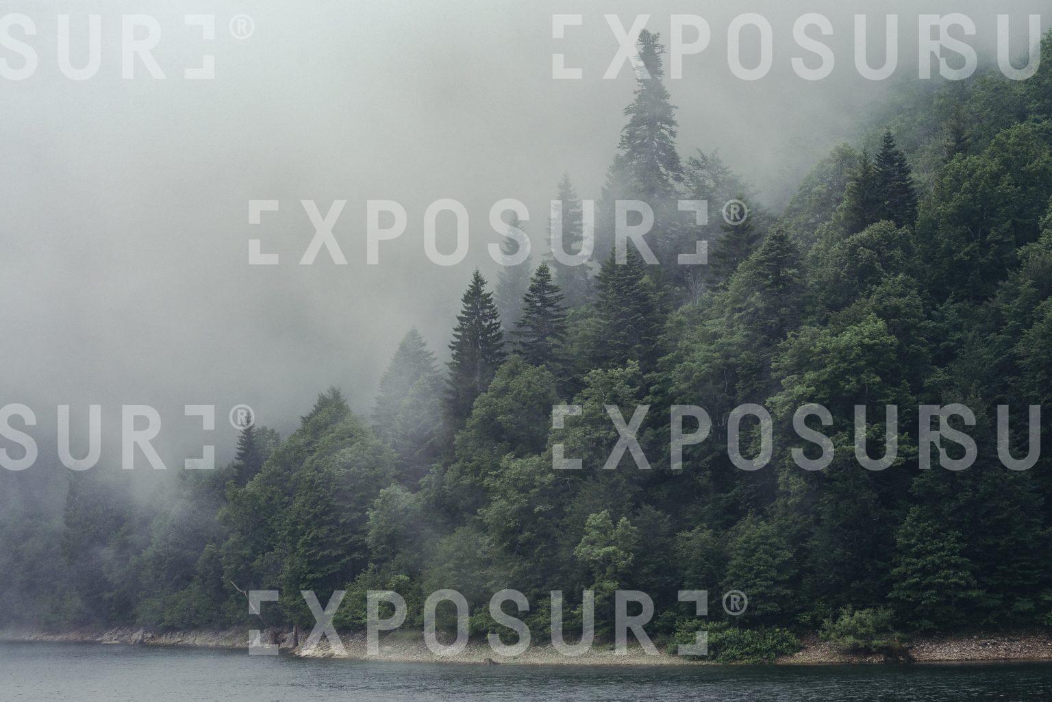 Fog over Shaori Lake, Georgia.
