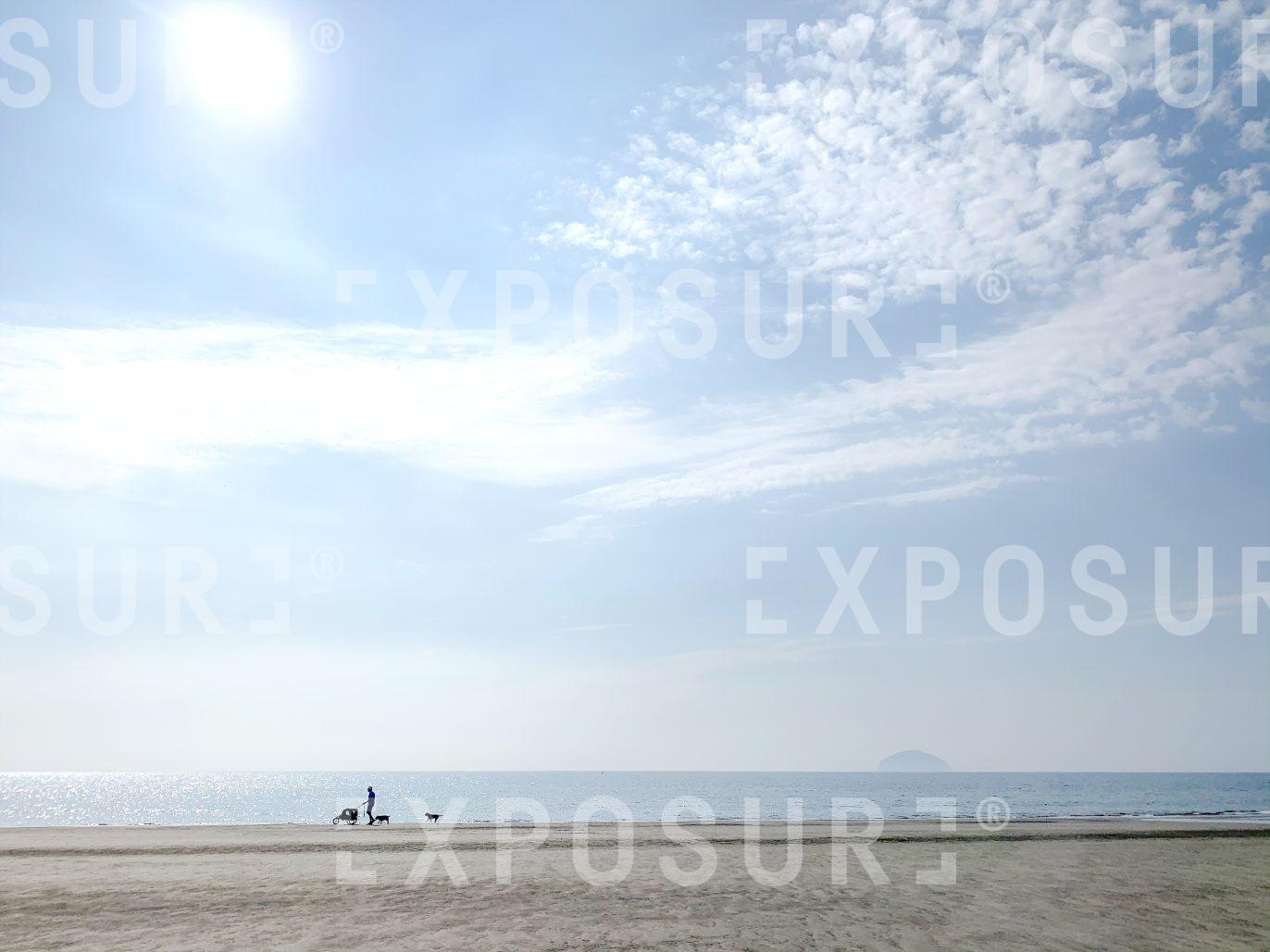 Man with a pram and two dogs on the beach