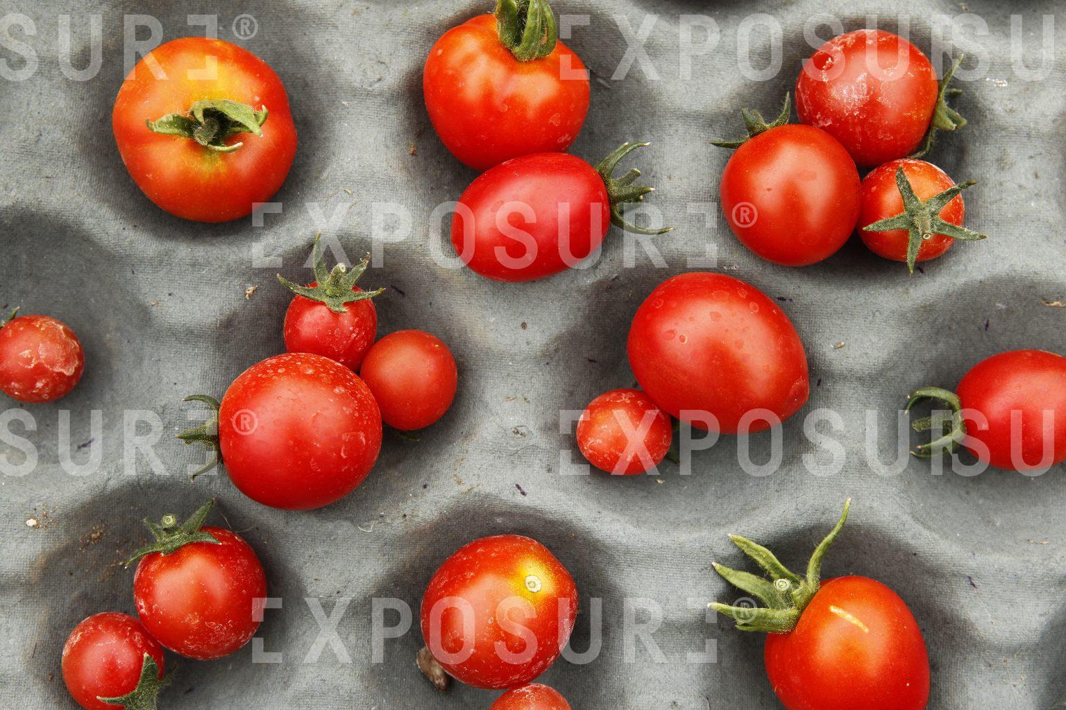 Tomatoes