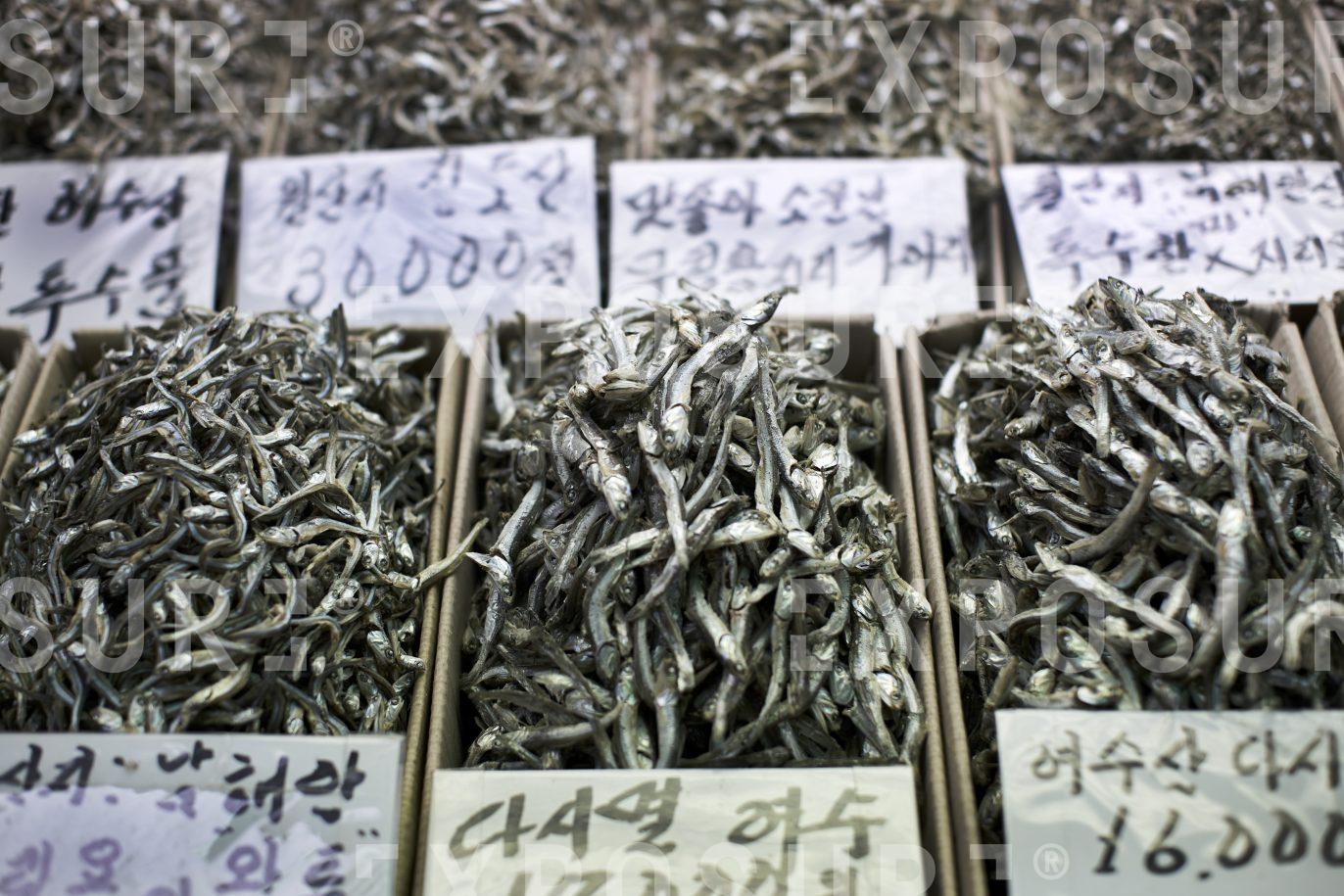 Small fish, Dongdaemun Market, Seoul
