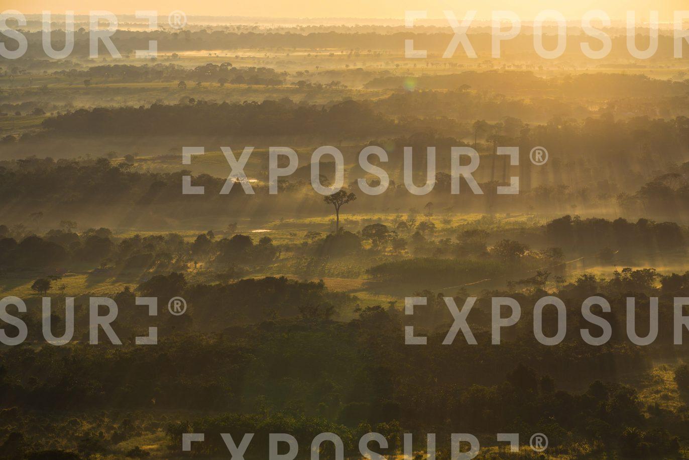 Amazon rainforest aerial