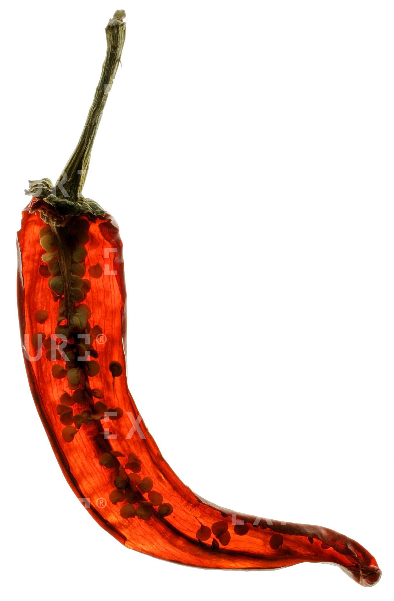 Red pimiento Italiano