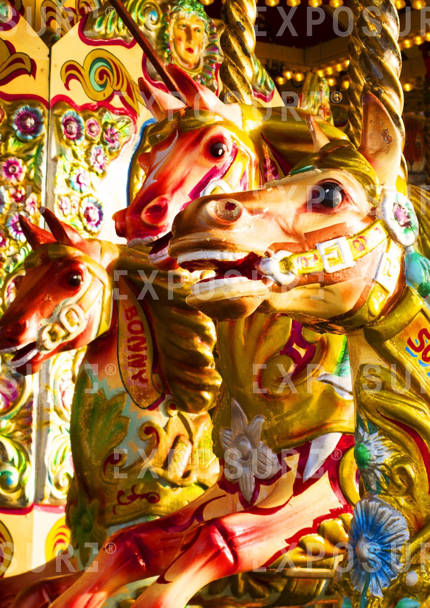 Carousel Horses.