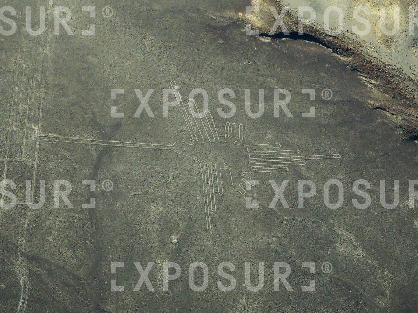 Nazca lines 4