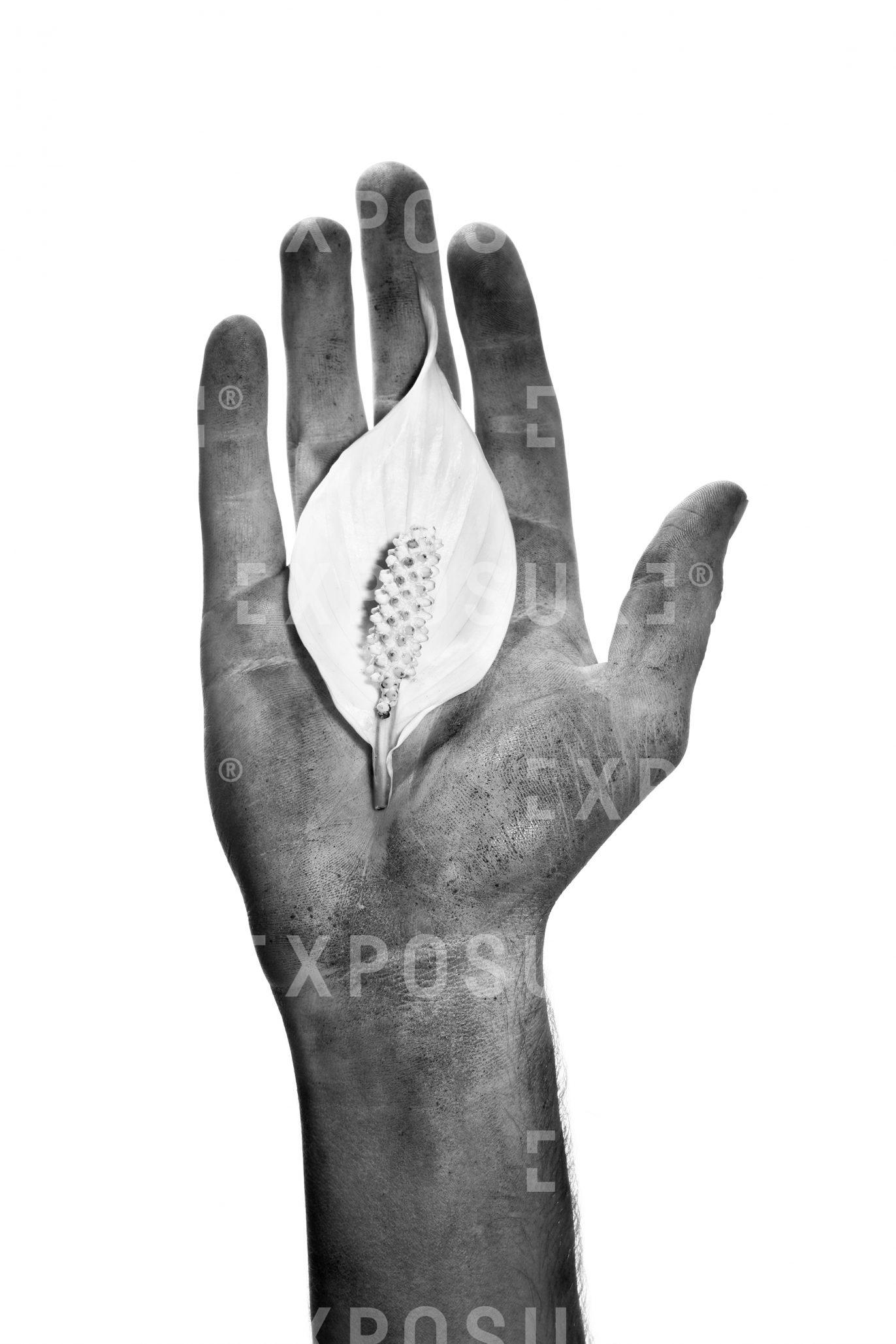 A portrait of a dirty right hand