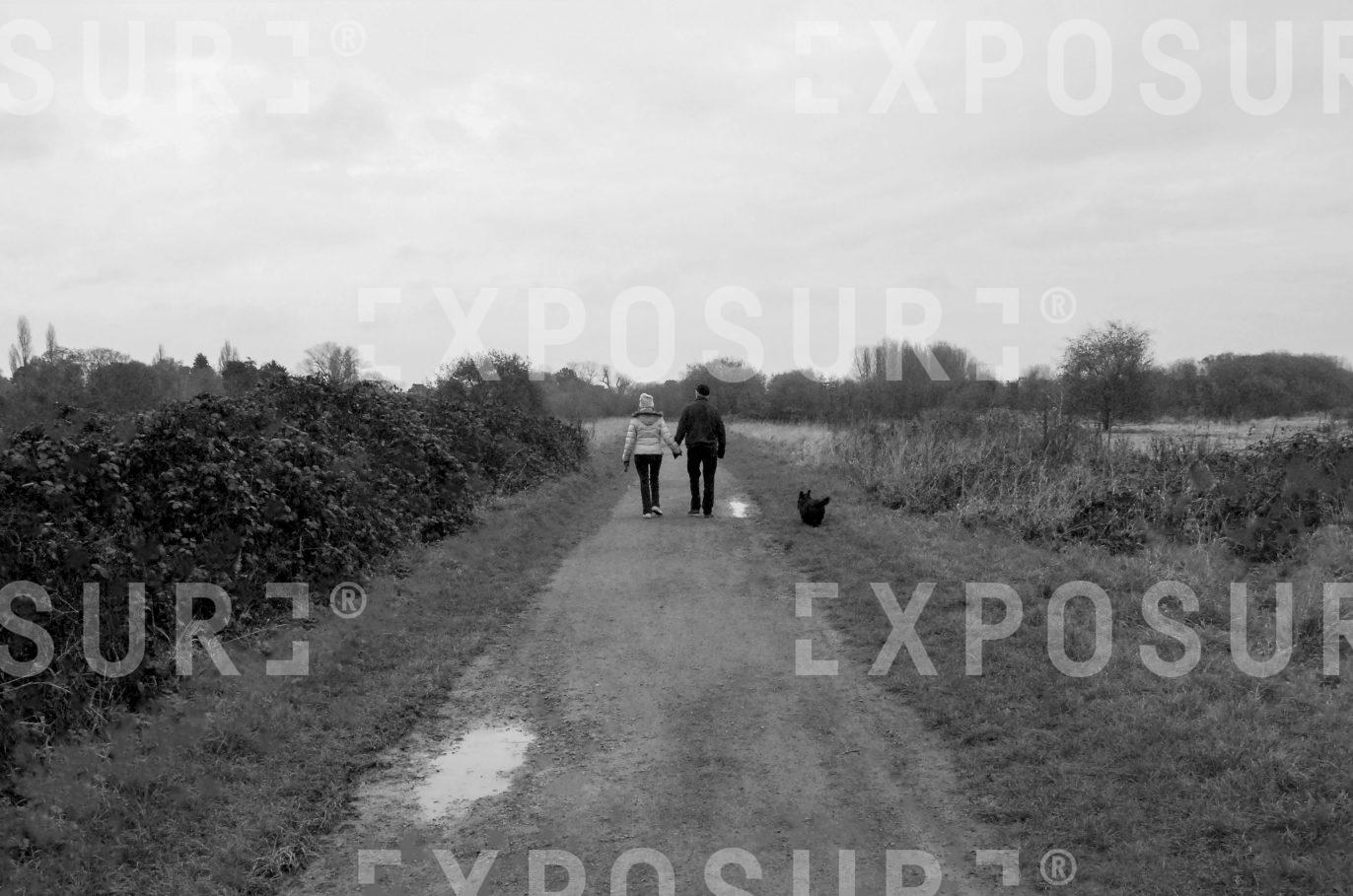 Dog walkers in country park
