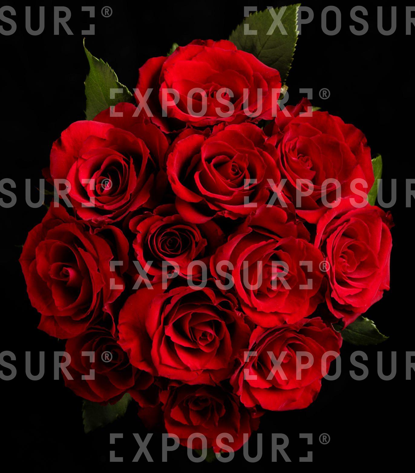 Dozen Red Roses