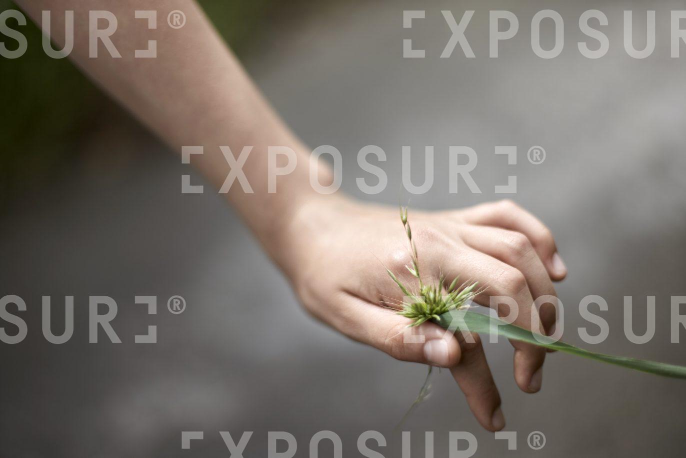 A girl holds out grass