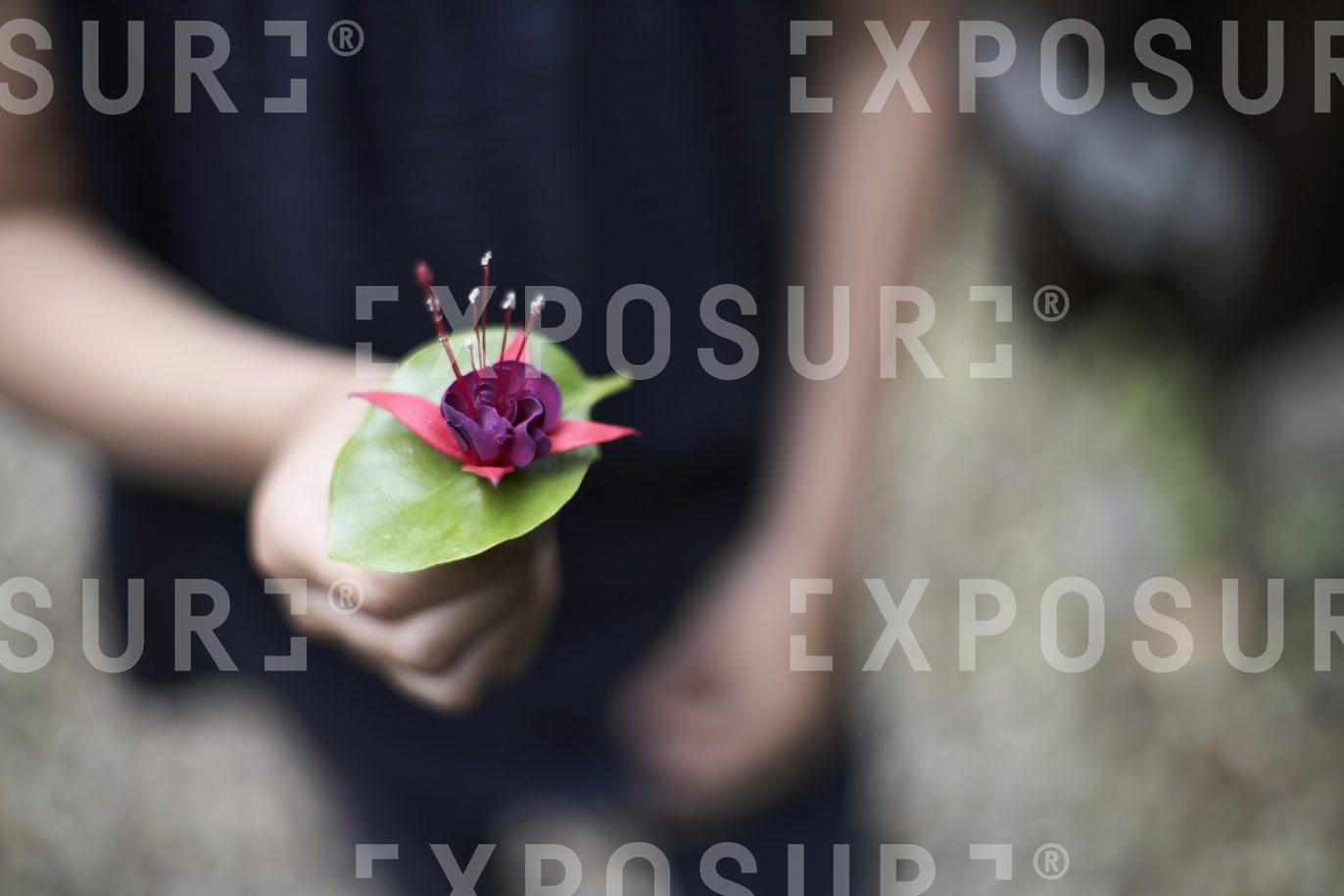 A girl holds out a plant