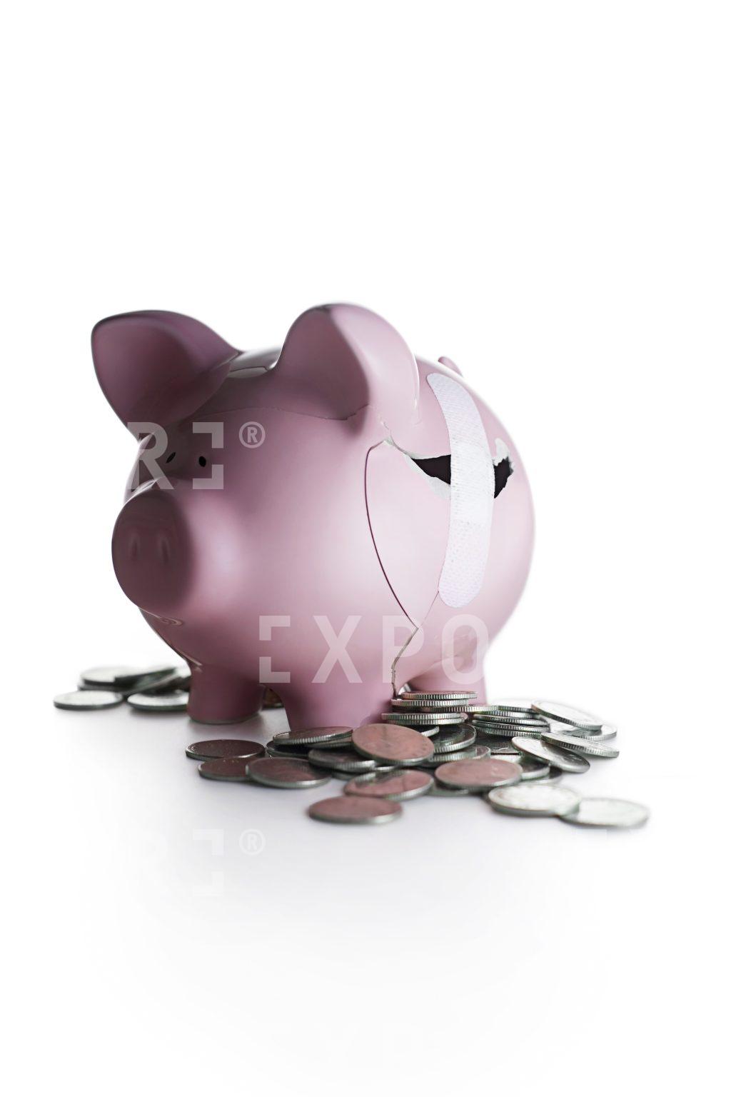 Piggy bank